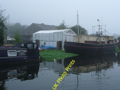 Photo 6x4 Floating pennywort, west bank, Weaver Navigation Northwich Heap c2016