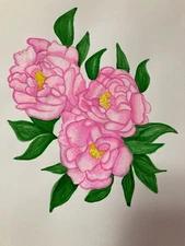 Pink peony flower watercolor painting