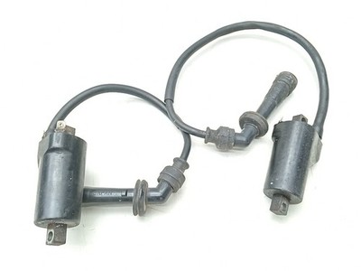 PAAR ZÜNDSPULEN IGNITION COILS SUZUKI SV 650 99-02 P503