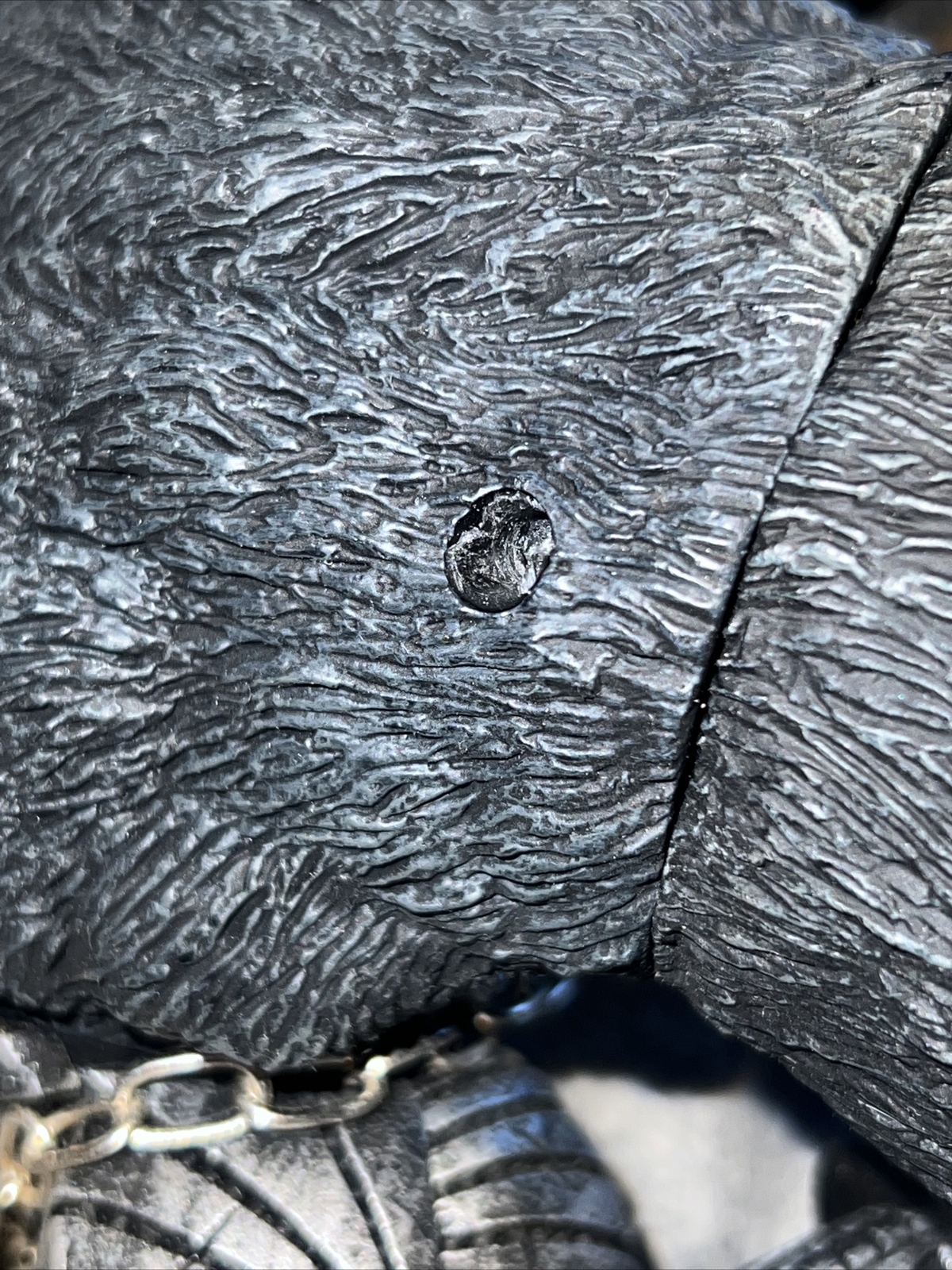 Picture 6 of 6