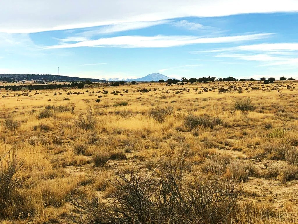 40 Acres of Recreational Land in Colorado [Owner Financing Available