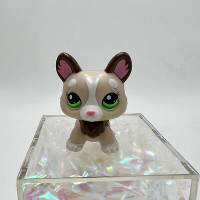 FIGURINE LITTLEST PETSHOP chien 1864 Dog Corgi/LPS/HASBRO RARE FIGURINE LITTLEST PETSHOP chien 1864 Dog Corgi/LPS/HASBRO RARE