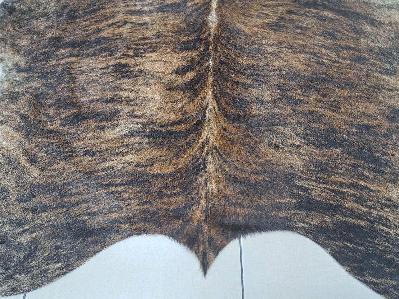 Picture 20 of 20