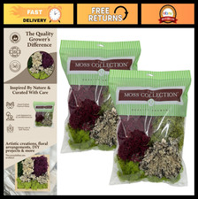 Natural Decorative Moss Variety Pack - Non-Toxic Craft  Home Decor - Red Mix, 2