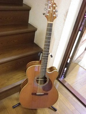Electric Acoustic Guitar Greg Bennet OM-15CE Natural Good Condition
