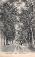 50 TORIGNI SUR VIRE SOUS LES TILLEULS