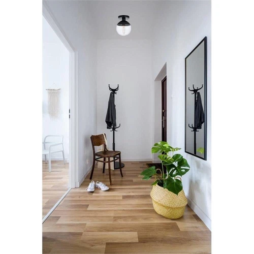 Living District Eclipse 1-Light Metal & Glass Flush Mount in Clear/Black - Picture 2 of 6