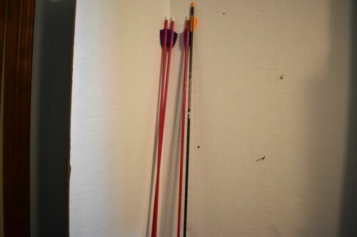 lot de 12 victory vap v1 12 NEW 2024 Victory VAP SS V1 Elite Shafts - 1 Dozen 300 Spine .001