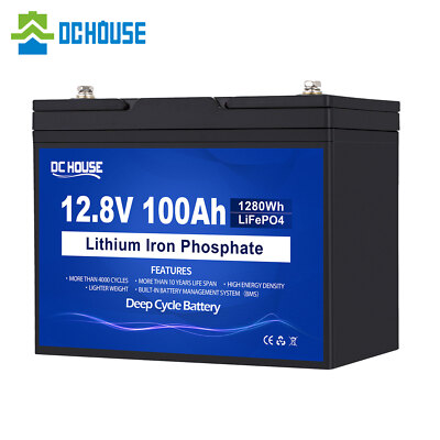 12V 100Ah LiFePO4 Lithium Batterie Akku BMS Deep Cycle Solarbatterie Boot RV