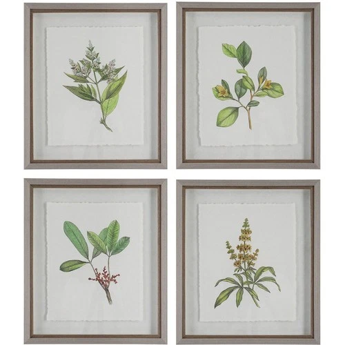 Uttermost 41461 Wildflower Study 22 X 19 inch Framed Prints, Set of 4 - Picture 1 of 7