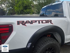 2021-2025 Ford Raptor Rear Side Raptor- Comes In Pair Vinyl Decal