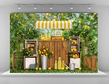 7x5ft Summer Lemon Backdrops for Photography Lemonade Theme Party Decoration ...
