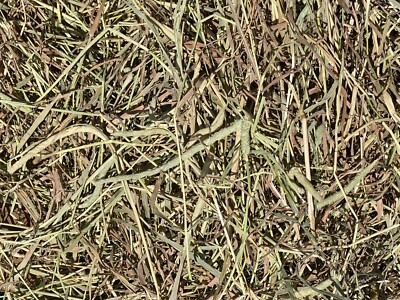 Fox Peak Timothy Hay Rabbits, guinea pigs, chinchilla, food free shipping 15 oz.