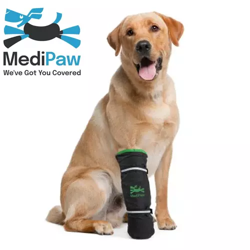 MediPaw Soft Bandage Protective Veterinary Dog Boots - Picture 1 of 12