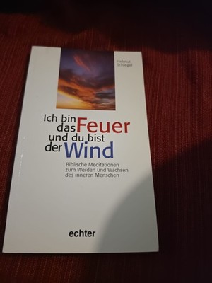 Ich bin das Feuer und du bist der Wind Biblische Meditationen zum Werden und Wac