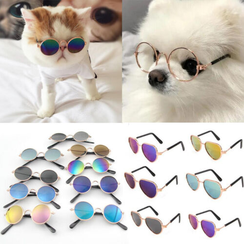 Lunettes de soleil lunettes rondes produits pour animaux de compagnie chat chiot chiot pour chats accessoires décoration - Photo 1 sur 29