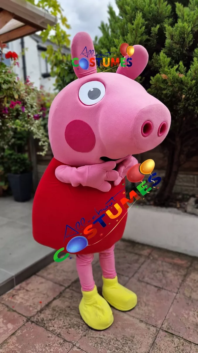 Peppa pig on sale fancy dress