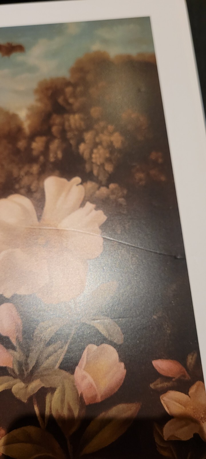 Picture 18 of 24