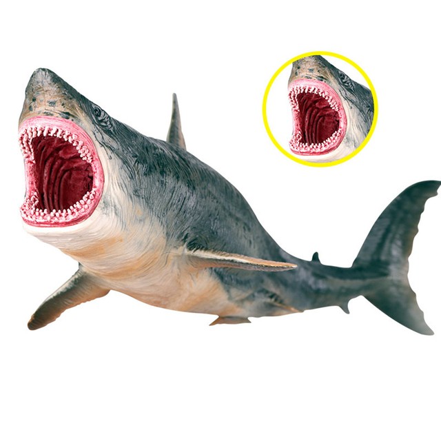 Megalodon Figure Ancient Shark Wild Animal PVC Model Toy Collector Decor Gift for sale online eBay