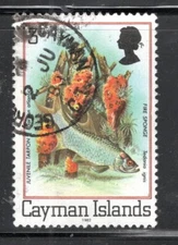 BRITISH CAYMAN ISLANDS  STAMPS  USED     LOT 1293CC