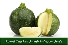 Vegetable Seeds - Squash-Round Zucchini Squash 10 Seeds -Heirloom Vegetable
