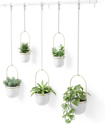 Triflora Hanging Planter for Window, Indoor Herb Garden, Set of 5, White/Brass