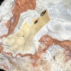 Foto 8 di 8