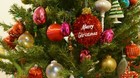 Bild 12 von 12