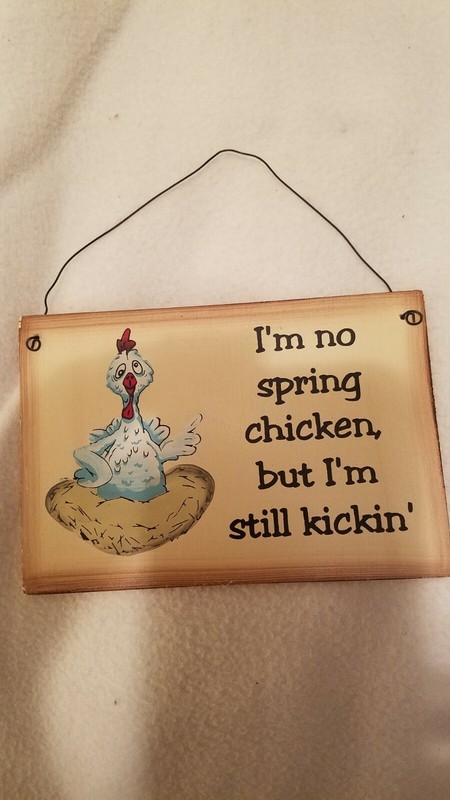 I'm No Spring Chicken But I'm Still Kickin plaque