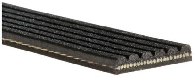 Produktbild von Keilrippenriemen GATES Micro-V® - Art. Nr.: 6PK1655. Jetzt