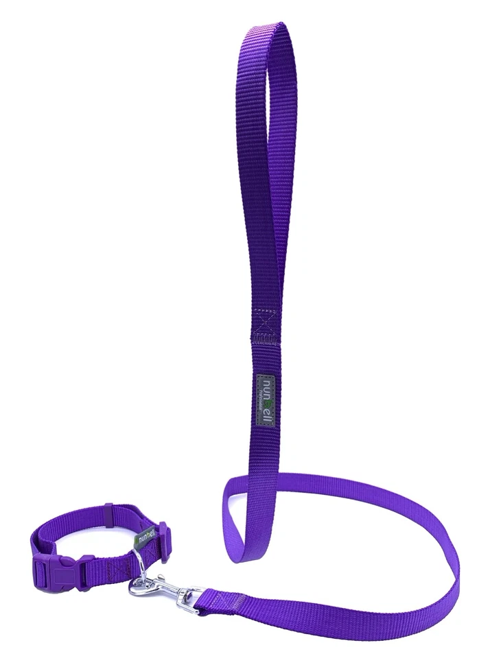 Dog Collar and Leash Set Lead Collar Nylon Classic Solid Colours  - image 3 of 4