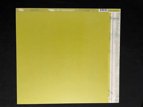 MME WILD ASPARAGUS "BOY" 12X12 DS HEAVY PAPER - Picture 5 of 21