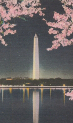Illuminated Washington Monument at Night in Washington DC Linen VTG Post Card