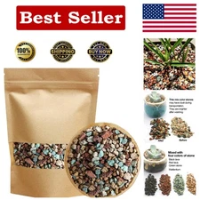 Well-Draining Succulent Gritty Mix - 2.2lbs of Perfect Pumice for Healthy Growth