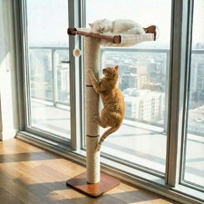 Cat Window Perch with Scratching Post Climbing Tree Hammock Mounted with Suct...