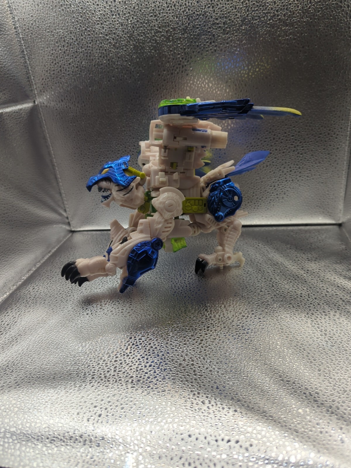 Picture 5 of 5
