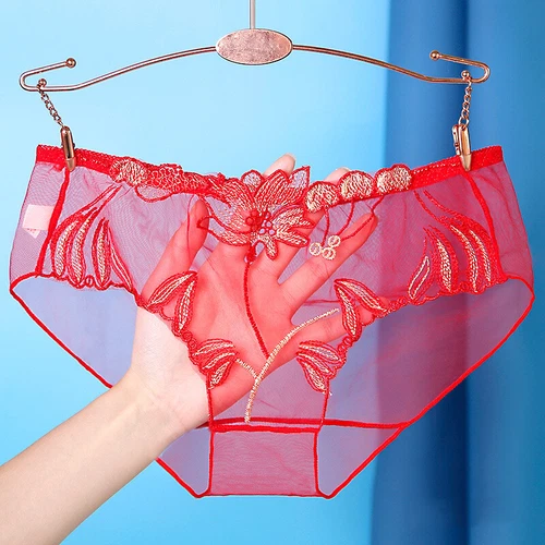 Womens Sexy Underwear See Through Lingerie Mesh Briefs Lace Panties Knickers🎀 - Picture 19 of 30
