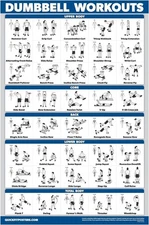 Dumbbell Workout Exercise Poster - Free Weight Guide, Laminated 18"x24"
