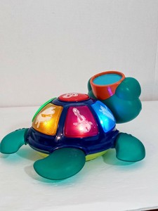 turtle baby einstein