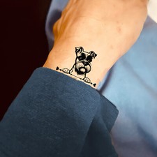Miniature Schnauzer Dog Temporary Tattoo (Set of 6)