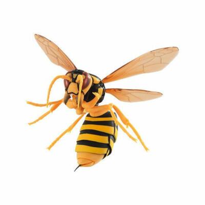 Wasp Hornet Figure Complete All 3 Set Gashapon Capsule Toy Real
