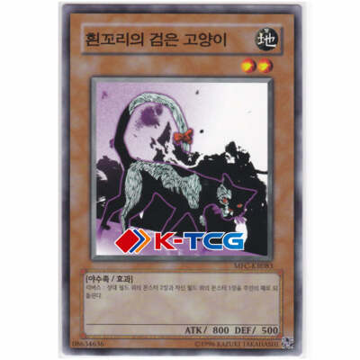 Yugioh Card ''Dark Cat with White Tail'' MFC-KR083 Korean Ver Common
