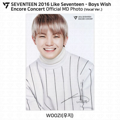 seventeen ドギョム boys wish 2015 2016 セット seventeen ドギョム boys wish 2015 2016 セット SEVENTEEN 2016