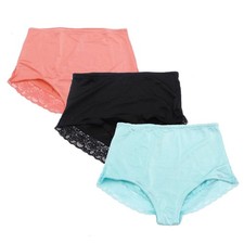 Rhonda Shear Smooth Pinup Brief with Lace Trim Colors Bright -Set of 3