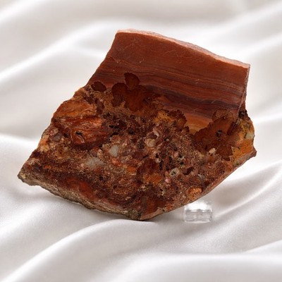 Mimbres Picture Jasper Sunset Colors