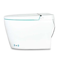 Luxury Smart Toilet Tankless One Piece Elongated Bidet Dual Flush Heated Seat
