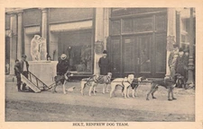 B186 US Holt Renfrew Dog Team Sledge vintage postcard
