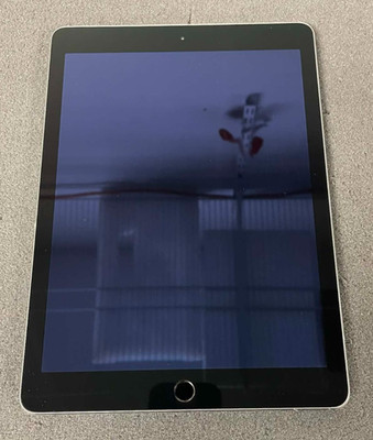 Apple iPad Air 2 Tablet - 128GB - Wi-Fi - 9.7