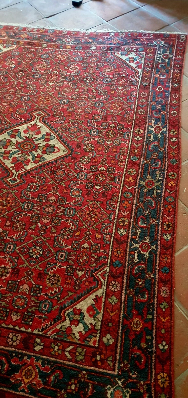 Foto 1 di 11