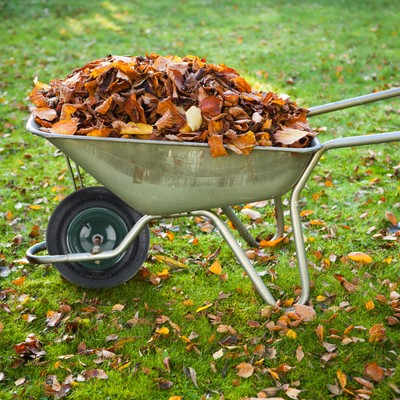Relaxdays Schubkarrenrad 4.80/4.00-8 – Luftbereift, Bis 120 Kg, Mit Fester Achse, Ersatzrad Für Gartenkarren (schwarz)
